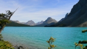 PICTURES/Banff National Park - Alberta Canada/t_Bow Lake & Mountains9.JPG